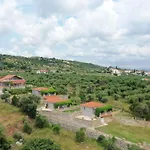 Alexandros Beachfront Near Petalidi With Private Sunbeds & Sea View Apartmán