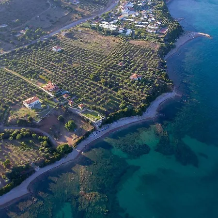Alexandros Beachfront Near Petalidi With Private Sunbeds & Sea View Appartement