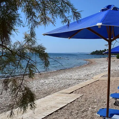 Alexandros Beachfront Near Petalidi With Private Sunbeds & Sea View *