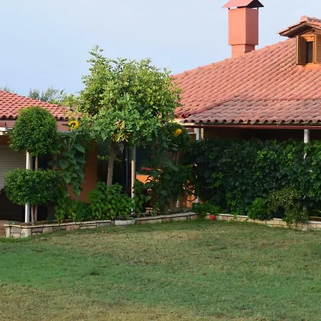 Alexandros Beachfront Near Petalidi With Private Sunbeds & Sea View Appartement
