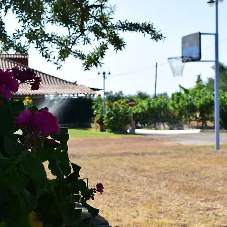Alexandros Beachfront Near Petalidi With Private Sunbeds & Sea View Appartement Kalamaki (Messinia)