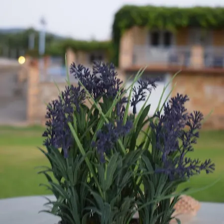 Alexandros Seaside Family & - Paradise, 7' From Petalidi *