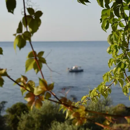 Alexandros Seaside Family & - Paradise, 7' From Petalidi Apartment *