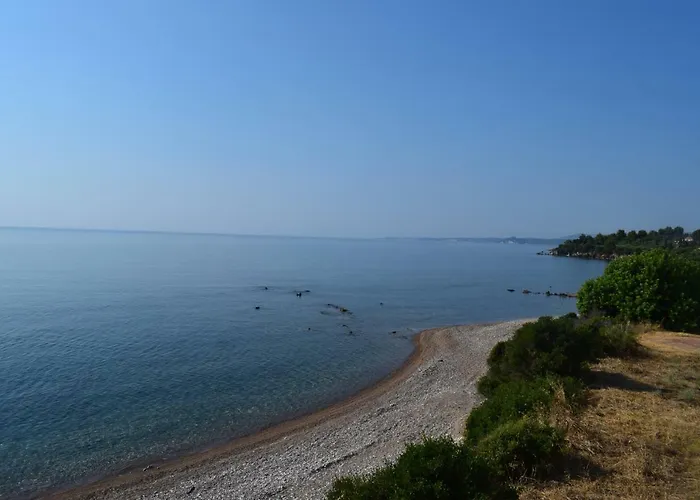 Alexandros Beachfront Near Petalidi With Private Sunbeds & Sea View
