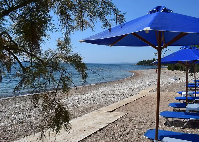 Alexandros Beachfront Near Petalidi With Private Sunbeds & Sea View *