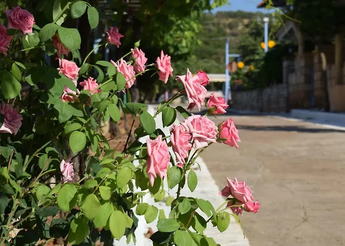 Alexandros , Beachfront Retreat Near Petalidi With Private Sunbeds & Sea View Apartamento *