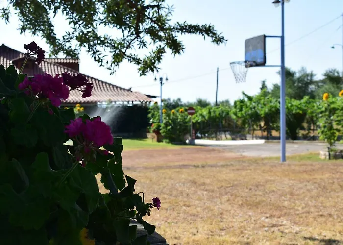 Alexandros Beachfront Near Petalidi With Private Sunbeds & Sea View Apartamento Kalamaki (Messinia)
